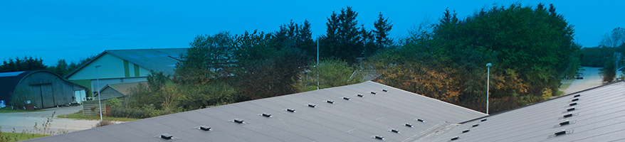 Pap- og PVC-tagenes banemand hedder Rhepanol