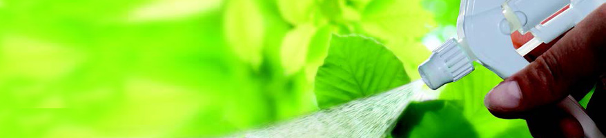 Gør rent med naturens styrke