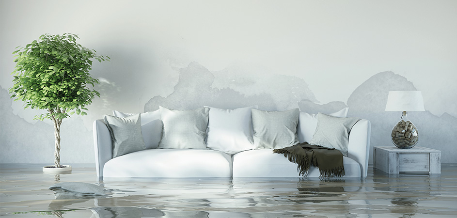 Roth fortsætter kampen mod vandskader