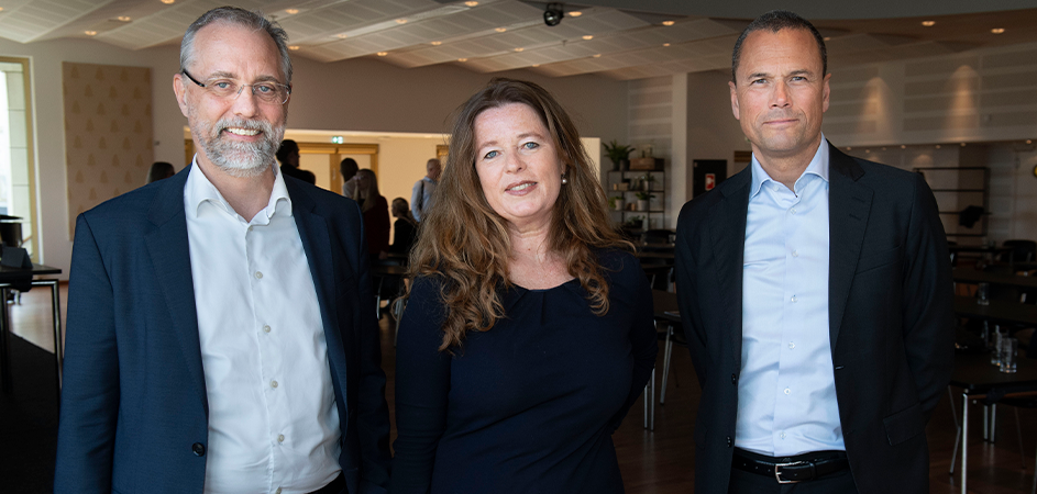 Marketingprofil hentet til Saniståls bestyrelse