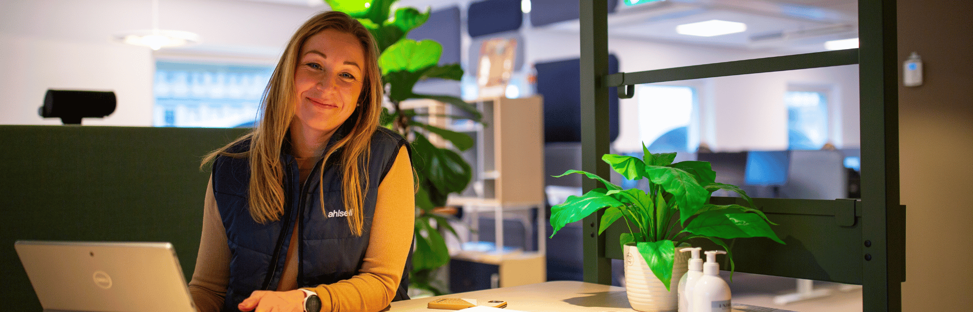 Karriere hos Ahlsell